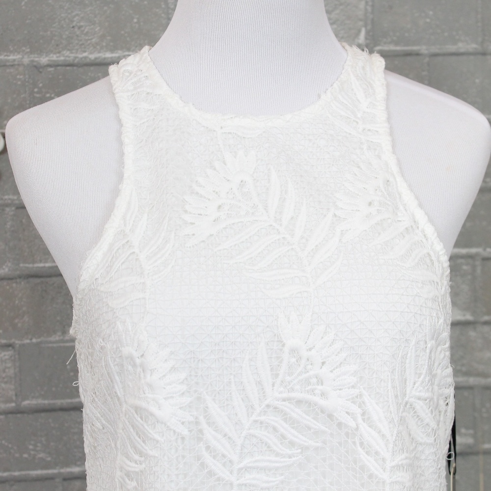 Lovers + Friends Caspian Lace Shift Dress - Picture 5 of 8